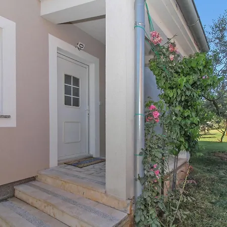 Ane In - Istrien Pula